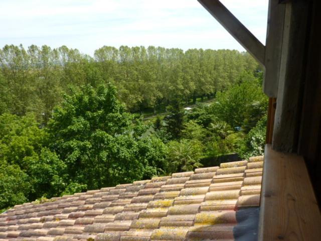 Le Dormeur Du Val Bed & Breakfast Le Mas-d'Agenais Room photo